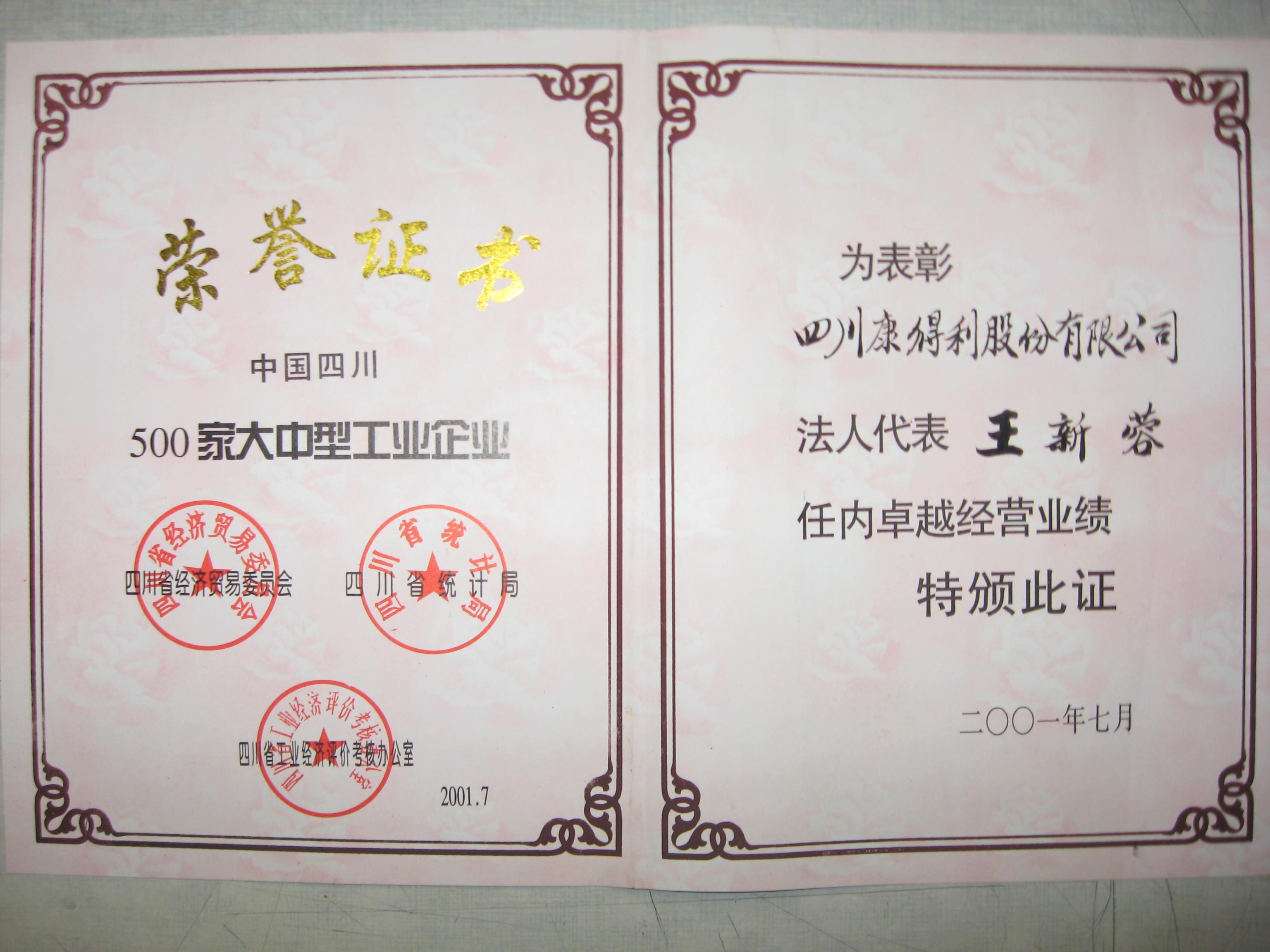 2001董事長卓越經營業(yè)績