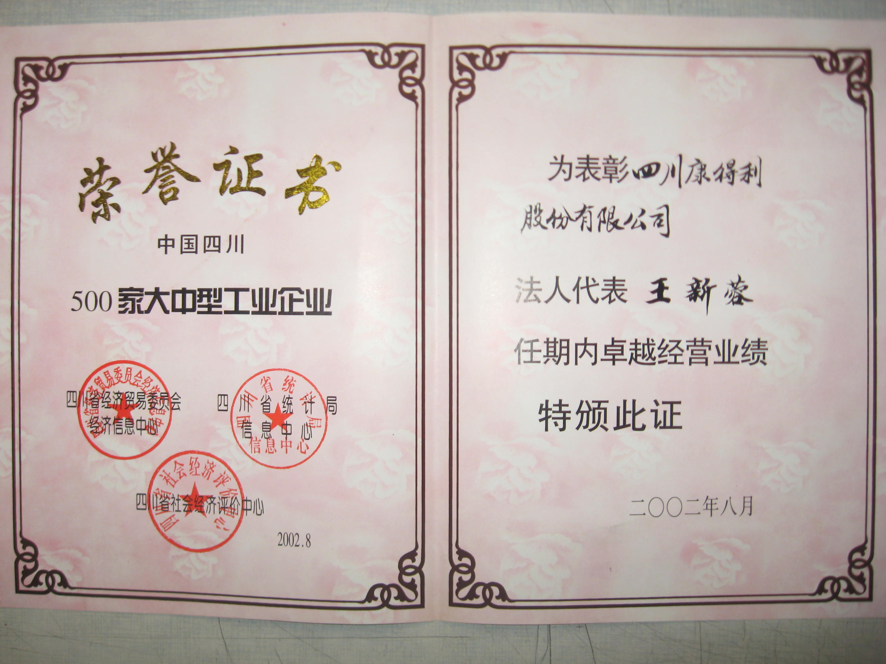 2002董事長卓越經營業(yè)績